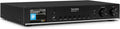 Radios de internet, 43,5 cm, TechniSat